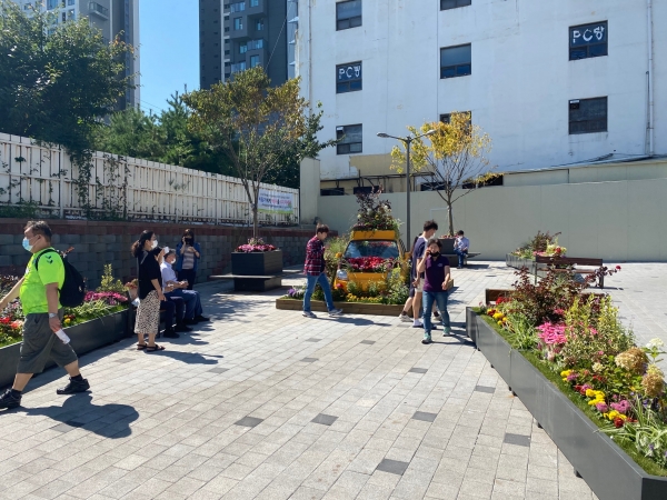 저절로 숙연해지는 꽃